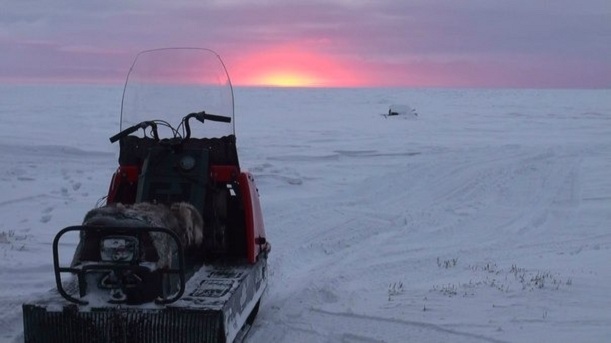 На Ямале водитель снегохода, из саней которого выпал пассажир, скрылся с места ДТП